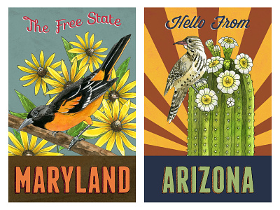 State Bird and Flower Postcards: MD and AZ bird illustration birds botanical art illustration nature nature illustration postcard art vintage style