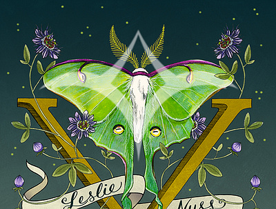 Leslie Nuss The Album V branding illustration cd artwork design hand lettering illustration insects moth nature illustration packaging illustration