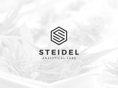 Steidel Analytical Labs branding cannabis lab lab branding logo logo design marijuana laboratory logo medical marijuana lab minimal design minimal logo