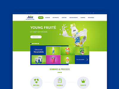 Jibal Homepage website blue green homepage ui ux website