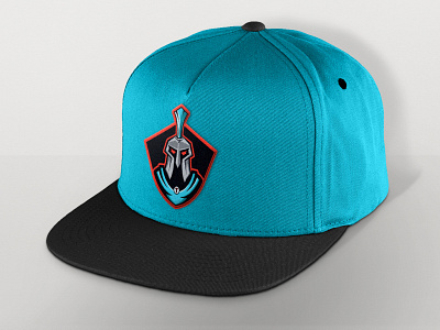 Titans Hat