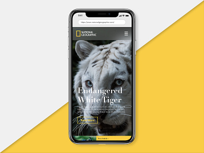 National Geographic Landing Page dailyui dailyuichallenge ui web