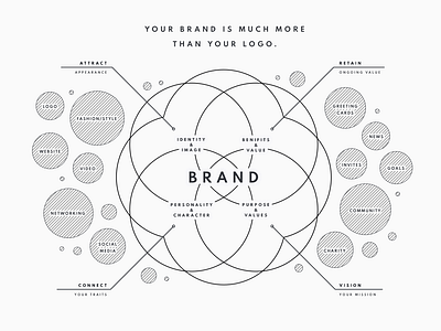 brand - infographic