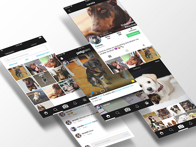Pet Social App Idea Mockup - Instagram for pets app design instagram pet app petgram photoshop ui ux