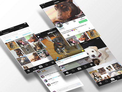 Pet Social App Idea Mockup - Instagram for pets