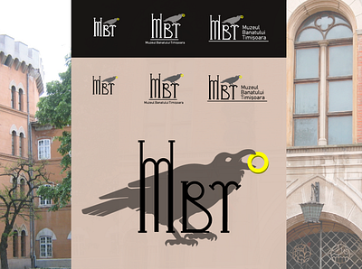 Museum of Banat Timisoara branding design historical logo museum vector