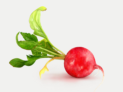 Radish