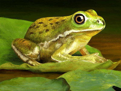 Frog digital art digital painting photoshop