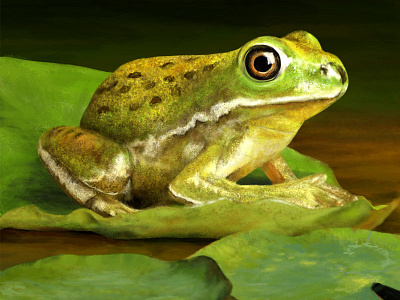 Frog