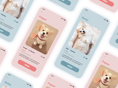 Pet Adoption Application app branding dailyui design flat icon minimal ui ux