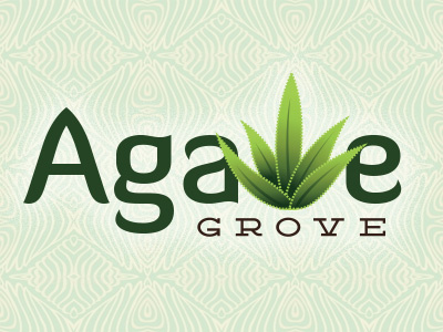 Agave Grove boutique brown cactus fresh green hotel landscape life natural organic tequila