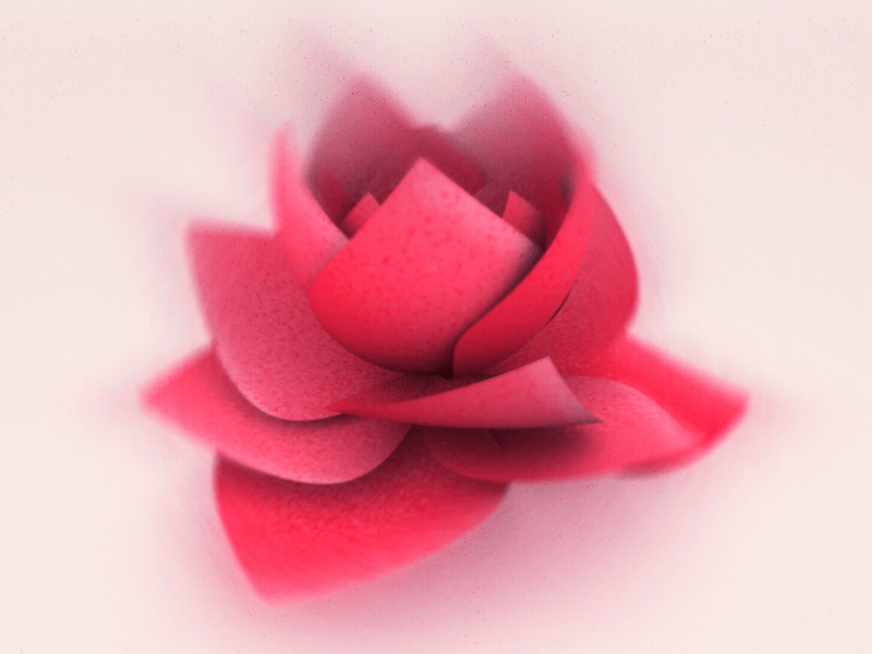 CNN - Rose 3d 3d animation animation cnn flower pink red