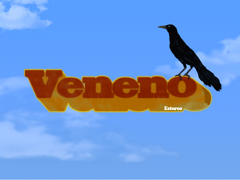 Veneno 2d animation bird typo vintage