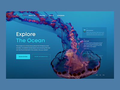 Diving club design concept design jellyfish ocean ui ux website