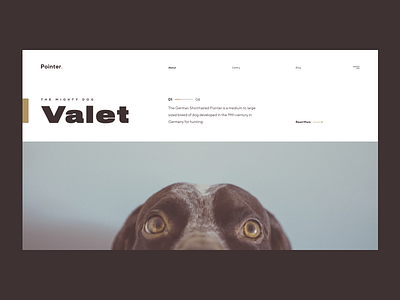 The Mighty Valet abstract animal composition concept design dog flat geometric german shorthaired pointer layout lines minimal pointer template typography ui ux web web deisgn website