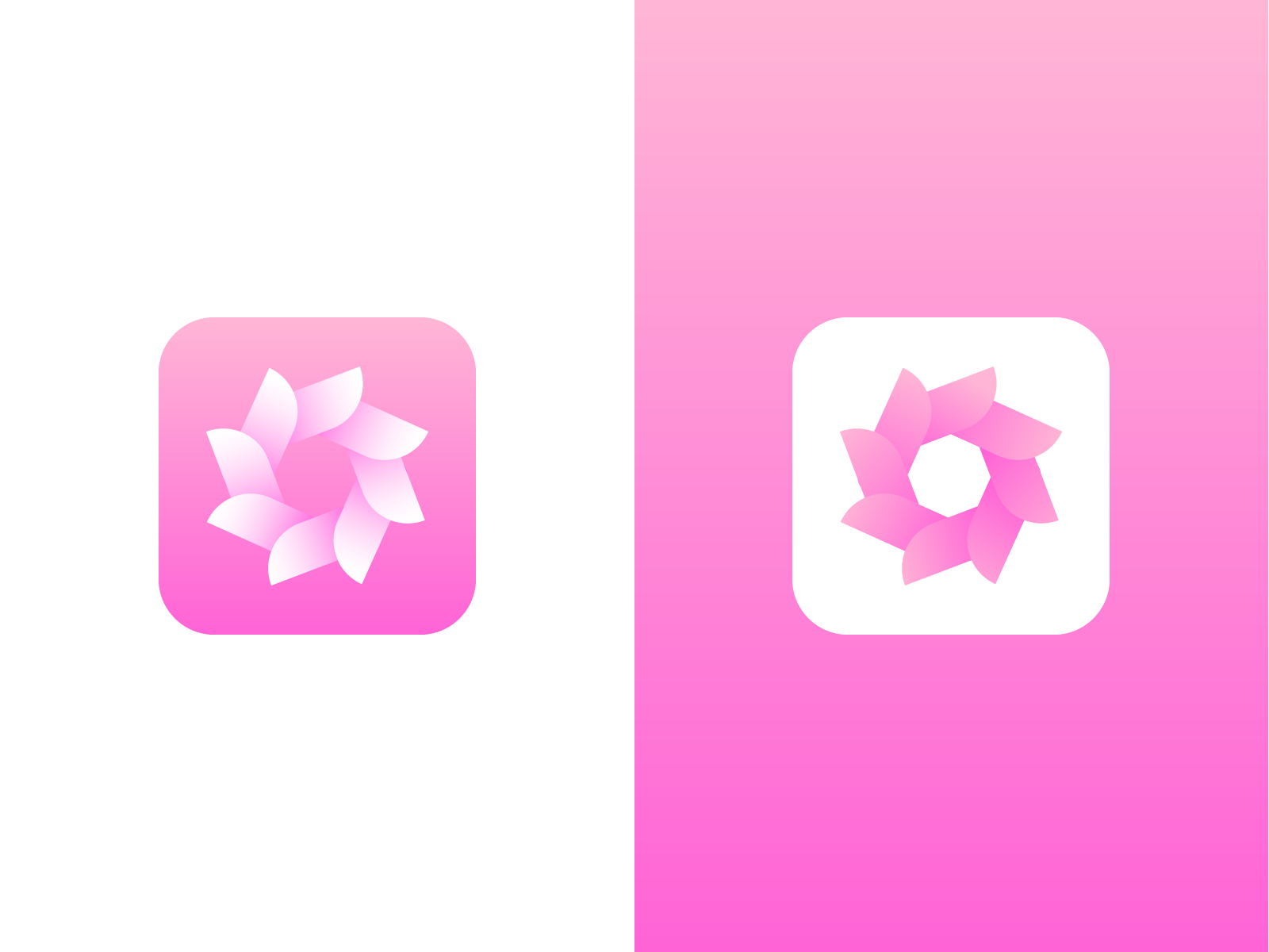 Flower AppIcon by Jaydeep Tarsariya on Dribbble