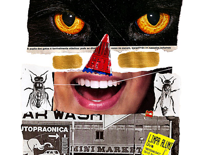 'Every citizen has cleaning as a standard' animals art artist artmajeur cat colagem collage collage art collageart collageonpaper contemporaryart design handmade kunst minimal mouth photography retro type vintage