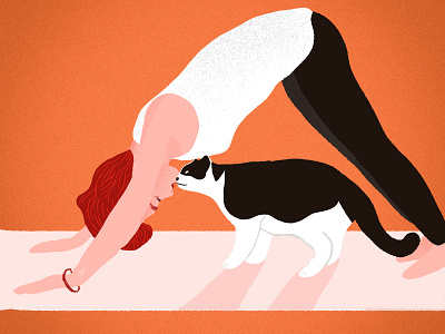 Yoga with a cat - Home yoga illustration