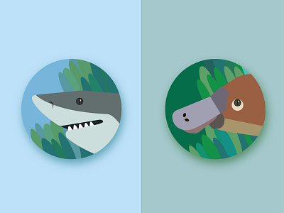 Australian icons#1 animal illustration flat flat illustration flatdesign illustraion shark vector web