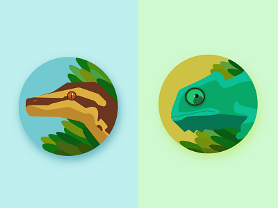 Australian icons#3 Reptilies animal illustration animals flat flat illustration flatdesign icons illustraion reptile vector web