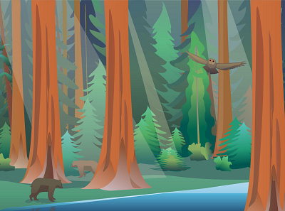 Sequoia National park animal illustration flat flat illustration flatdesign illustraion sequoia vector web