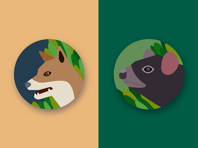 Australian icons#4 Mammals animal illustration animals flat flat illustration flatdesign icons illustration mammal vector web