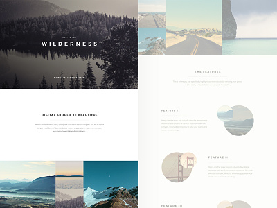 Lost in the Wilderness layout minimal minimalist theme ui web