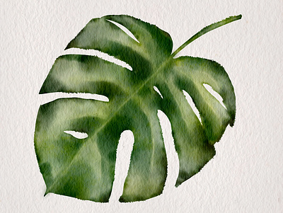 Monstera art design digital art digital painting procreate app