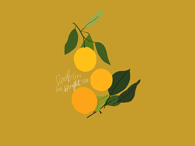 Look on the Bright Side design flat handdrawn illustrated illustration illustrator lemon lemonade procreate procreateapp script font simple spring vector
