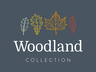 Woodland Collection - Logo Design branding holiday logo logo design luxury property self catering tourism woodland