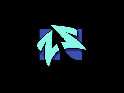 Personal ZS Logo logo