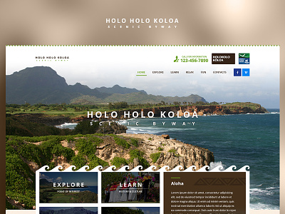 Holo Holo Koloa blue case study design fun photoshop project redesign ui ux web website