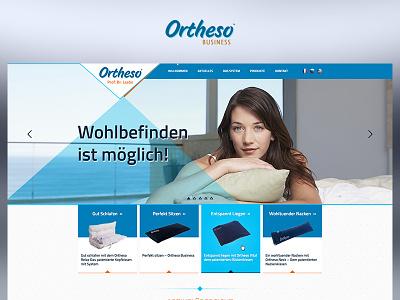 Ortheso blue case study design fun photoshop project redesign ui ux web website