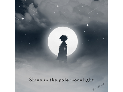 Shine in the pale moonlight - Cover Art digitalart illustration illustrator photoshop vector