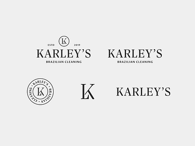 Cleaning company logo variations brand strategy branding design graphic design logo modern timeless design typography vector