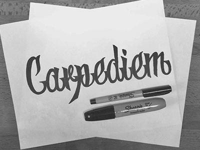 04/365 Carpe diem black brush cursive lettering script