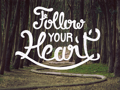 16/365 - Follow Your Heart brush cursive lettering script texture white