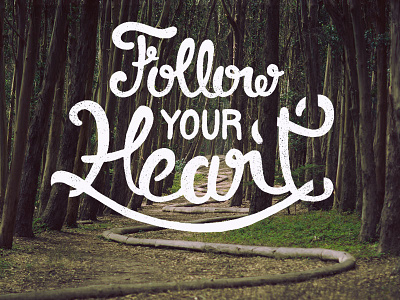 16/365 - Follow Your Heart