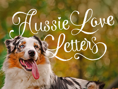 Aussie Love Letters aussie hand drawn lettering letters love type typography