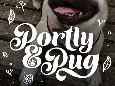 Portly & Pug Logo branding hand lettering lettering logo design logotype pug typography varied weight
