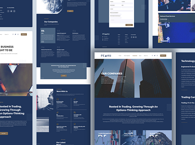Peak6 Website design ui ux