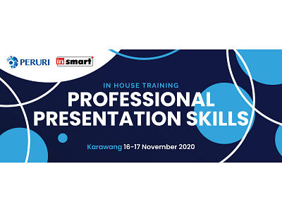 In House Training Professional Presentation Skills Banner