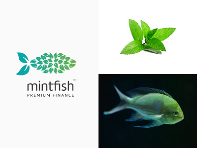 Mintfish Premium Finance