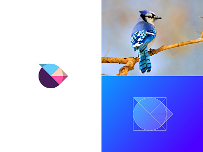 Bluejay analysis analytics animal bird bird logo branding gradient grid icon mark logo logo construction pet piechart vector veterinary