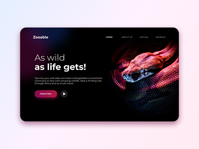 Zooable - Web UI