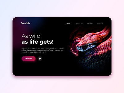 Zooable - Web UI animation app art branding creative design figma graphic design illustration landingpage logo motion graphics ui uiux userinterface vector web website