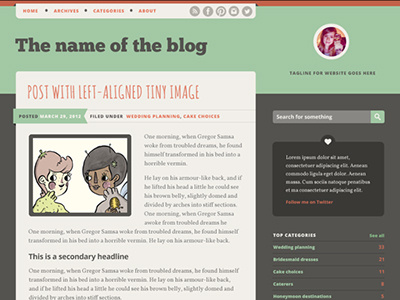 Wordpress theme design blog design wordpress