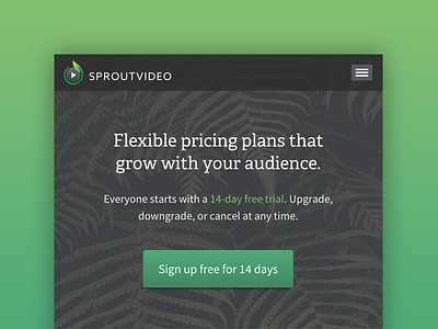 SproutVideo is now responsive adelle pricing page responsive source sans pro sproutvideo