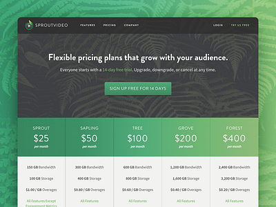 SproutVideo Pricing Page Case Study