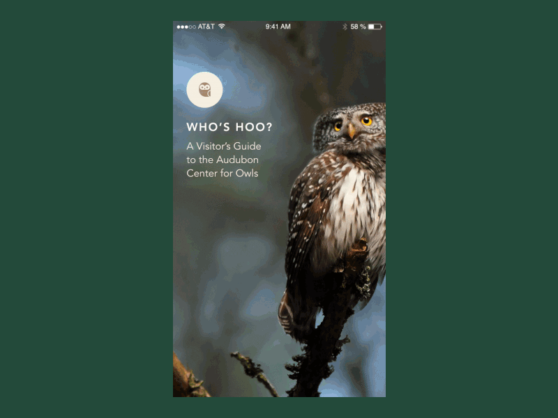 Who's hoo? adobe xd design iphone app mobile app owls ui ux